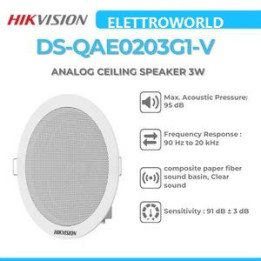 Hikvision DS-QAE0203G1-V